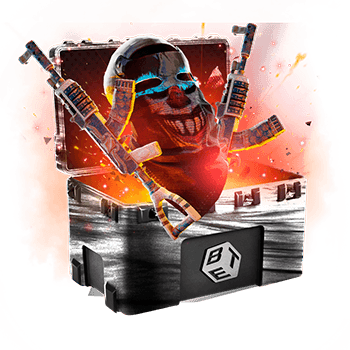Skinsbet Case