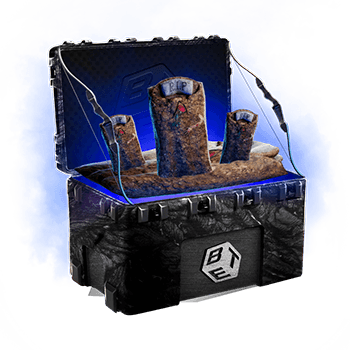 Skinsbet Case