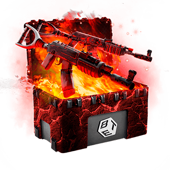 Skinsbet Case