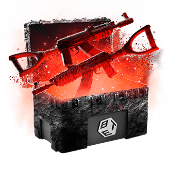 Skinsbet Case
