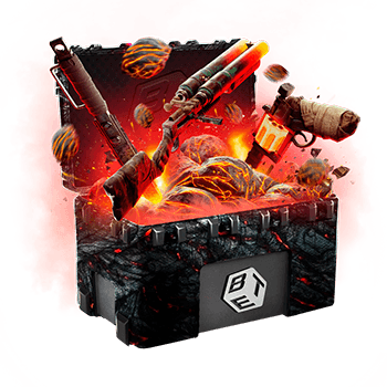 Skinsbet Case