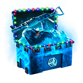 Skinsbet Case