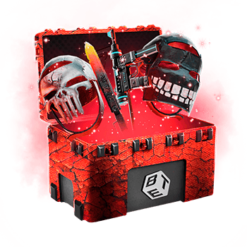 Skinsbet Case