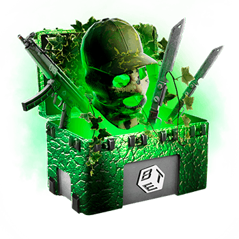 Skinsbet Case