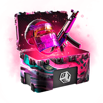 Skinsbet Case