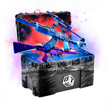 Skinsbet Case