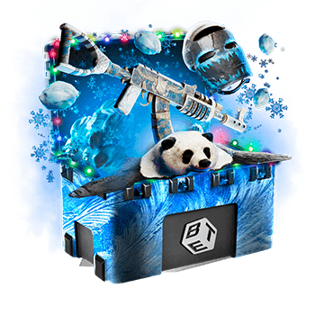 Skinsbet Case