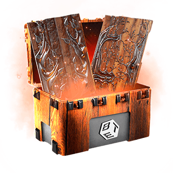 Skinsbet Case