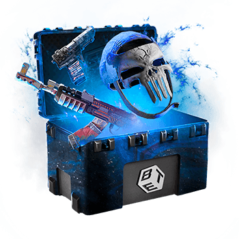 Skinsbet Case