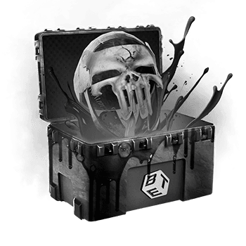 Skinsbet Case