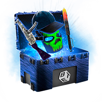 Skinsbet Case