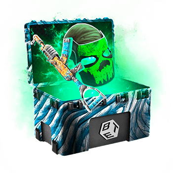 Skinsbet Case