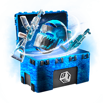 Skinsbet Case