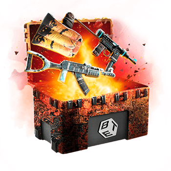 Skinsbet Case