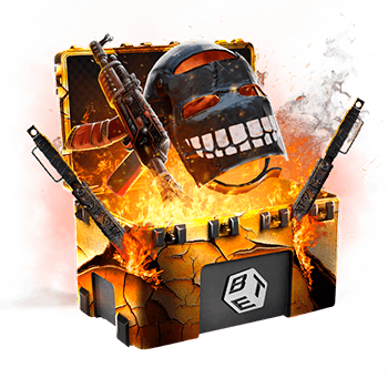 Skinsbet Case