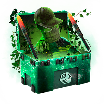 Skinsbet Case