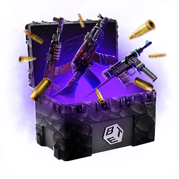 Skinsbet Case