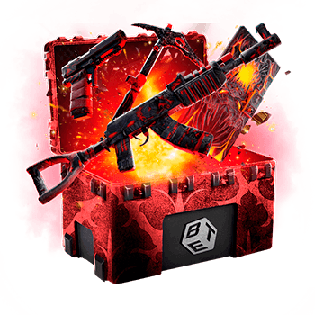 Skinsbet Case