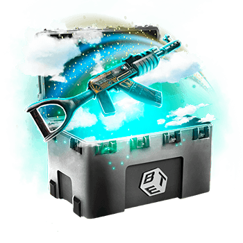 Skinsbet Case