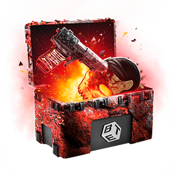 Skinsbet Case