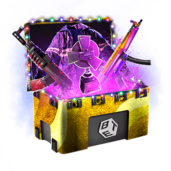 Skinsbet Case