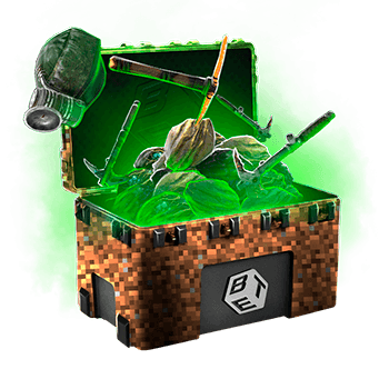 Skinsbet Case