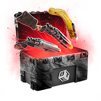Skinsbet Case
