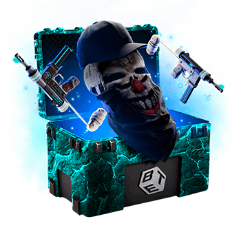 Skinsbet Case